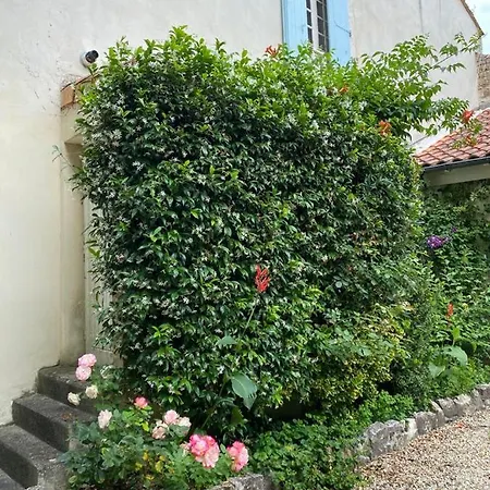 Maison De Charme Sur Charente Pres D'angouleme Villa